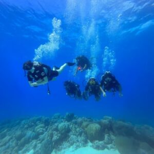 Scuba Diving 