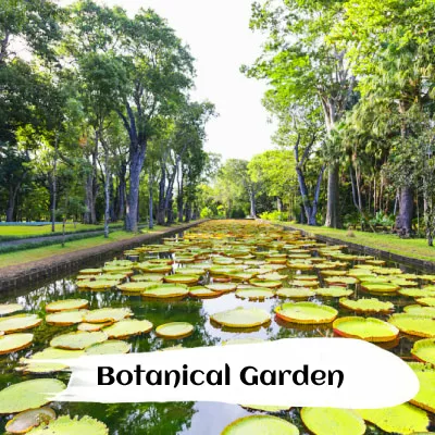 botanical garden 1