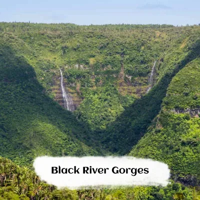 Black River Gorges